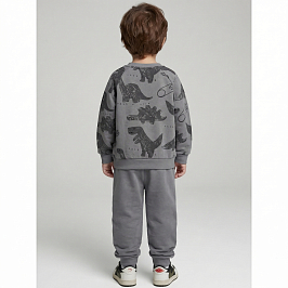 Костюм футер 2х нитка начес 8003310207