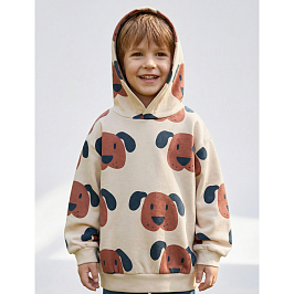 Толстовка футер 2х нитка начес 2103310101