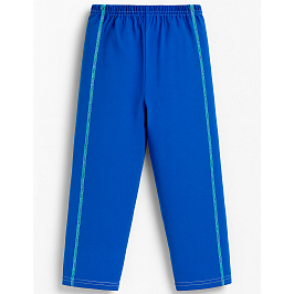 Штанишки футер 2х нитка начёс 0098300305