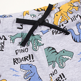 Шорты кулирка 0613102620