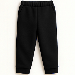 Штаны футер 2х нитка петля 1395300101